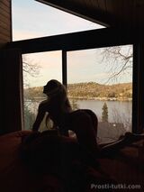 Миниатюра Индивидуалка Арина ККБ Фотография 